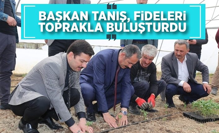 Başkan Tanış, fideleri toprakla buluşturdu