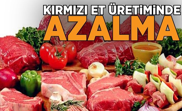 Kırmızı et üretiminde azalma