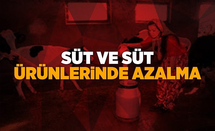 Süt ve süt ürünlerinde azalma