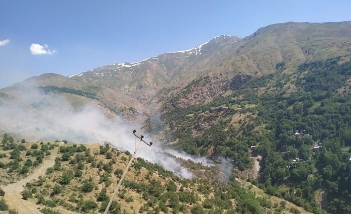 Bahçesaray’da orman yangını