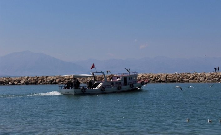 Van Gölü’nün inci kefali değer kazandı