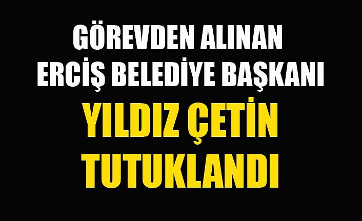 Görevden alınan Erciş Belediye Başkanı Yıldız Çetin tutuklandı