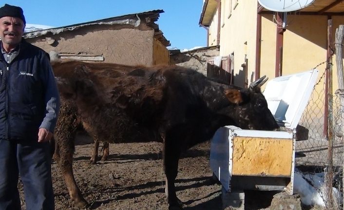 Van Erciş'te buzdolabından yaptığı sıvatla hayvanlarına su içiriyor