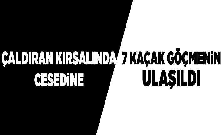 Çaldıran kırsalında 7 kaçak göçmenin cesedine ulaşıldı