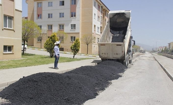 Erciş Belediyesi sokağa çıkma kısıtlamasını fırsata çevirdi