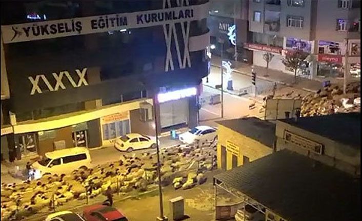 Van'da şehir merkezinden koyun sürüsü geçti!.. İşte detaylar..