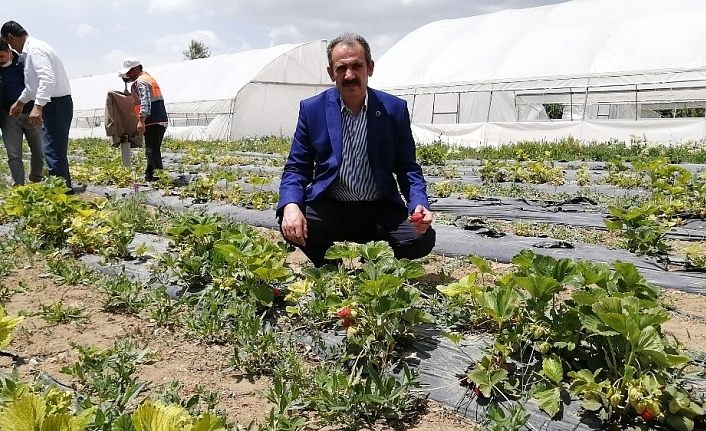 Gürpınar Belediye Başkanı Tanış: Dışarıya gitmiş, göç etmiş gençlerimizin gelip kendi topraklarına sahip çıkmalarını istiyoruz