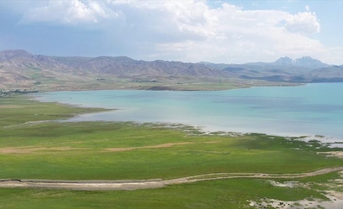 Van Erçek Gölü dahil beş ildeki doğal sit alanlarına ilişkin tescil kararları Resmi Gazete'de
