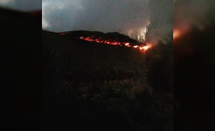 Erciş’te çıkan yangında traktör hurdaya döndü