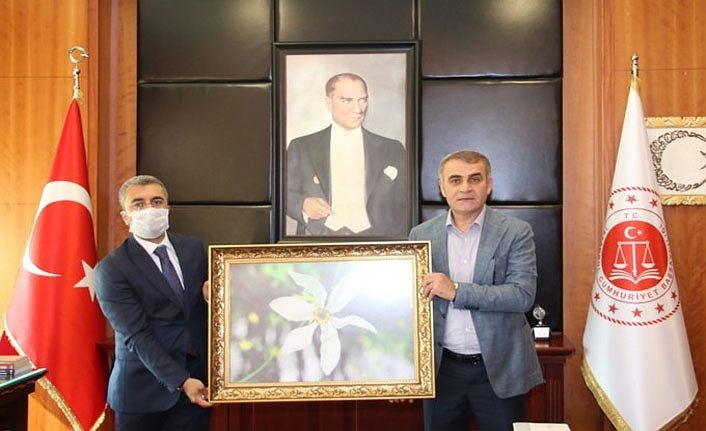 Van Edremit Belediye Başkanı Say İstanbul Cumhuriyet Başsavcısı Fidan’ı ziyaret etti