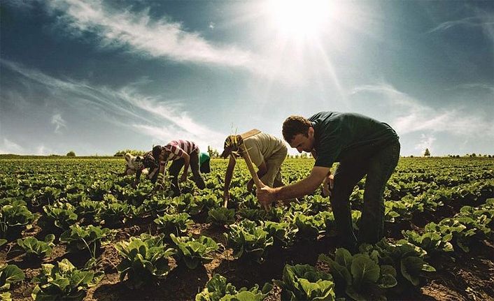 Van TB Başkanı Süer ÇKS başvuru süresi uzatılmasını talep etti