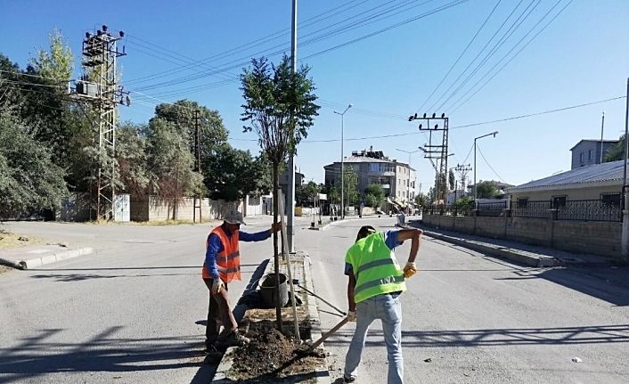 İpekyolu Belediyesinden ağaç dikimi