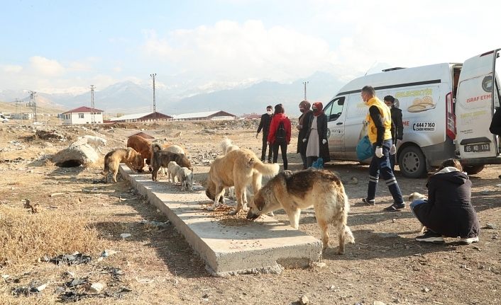 İpekyolu Belediyesi Can Dostlara sahip çıktı