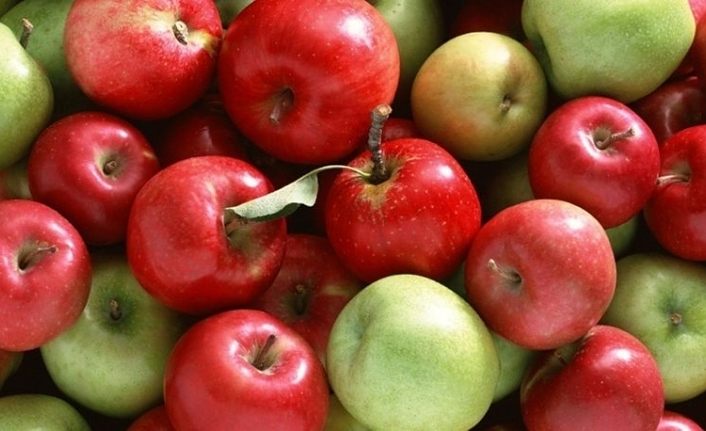 Tuşba'da %50 destekli Meyveciliğin Geliştirilmesi Projesi süresi uzatıldı