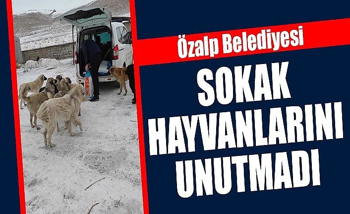 Özalp Belediyesi sokak hayvanlarını unutmadı
