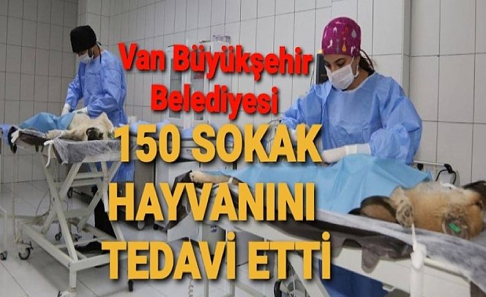 Van Büyükşehir Belediyesi sokağa çıkma yasağında 150 hayvanı tedavi etti