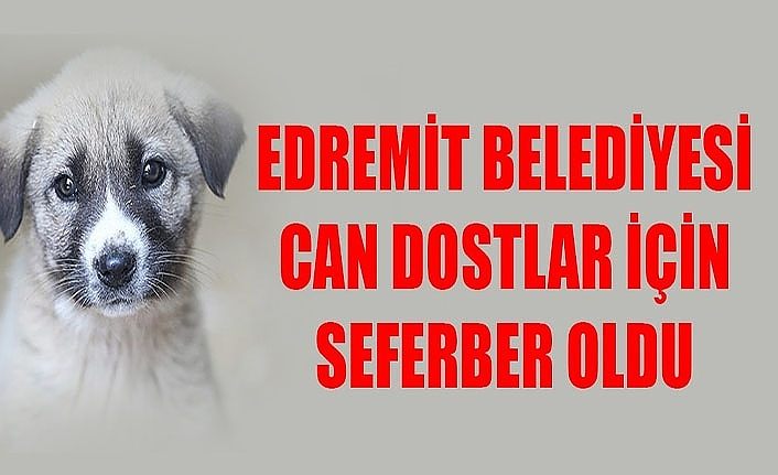 Edremit Belediyesi can dostlar için seferber oldu