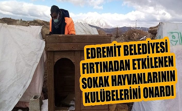 Edremit Belediyesi fırtınadan etkilenen sokak hayvanlarının kulübelerini onardı