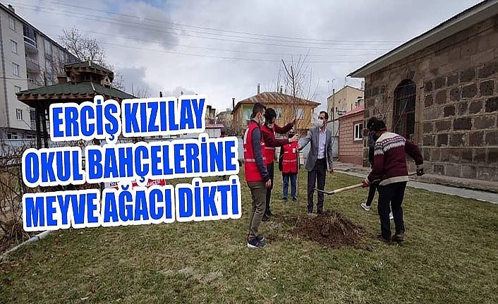 Erciş Kızılay okul bahçelerine meyve ağacı dikti