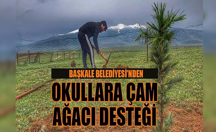 Başkale Belediyesi’nden okullara çam ağacı desteği