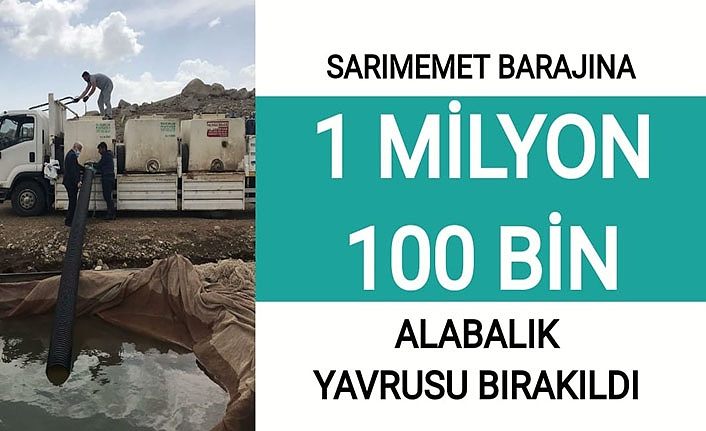 Sarımemet barajına 1 milyon 100 bin alabalık yavrusu bırakıldı