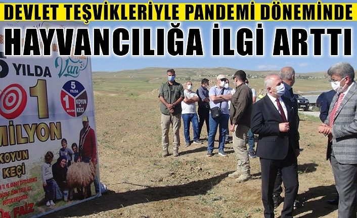 Devlet teşvikleriyle pandemi döneminde hayvancılığa ilgi arttı