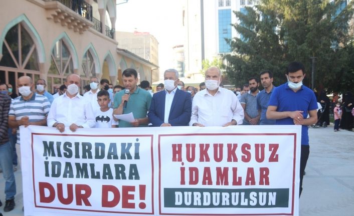 Mısır’da darbe karşıtlarının idam edilmesi Van’da protesto edildi