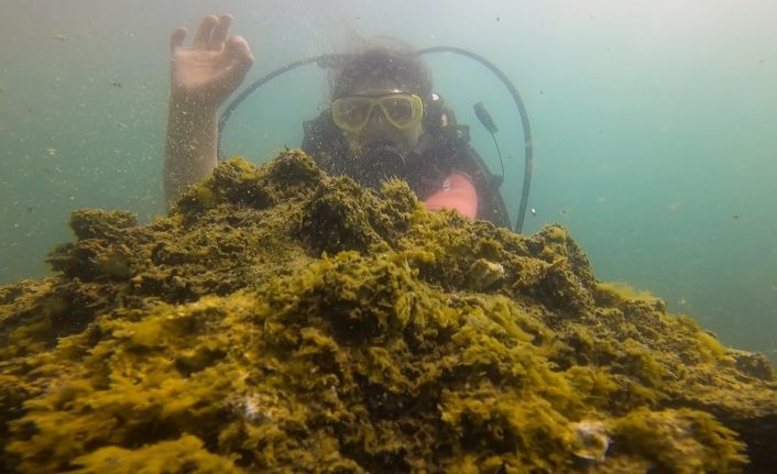 Van Gölü’ndeki mikrobiyalitlere dalış