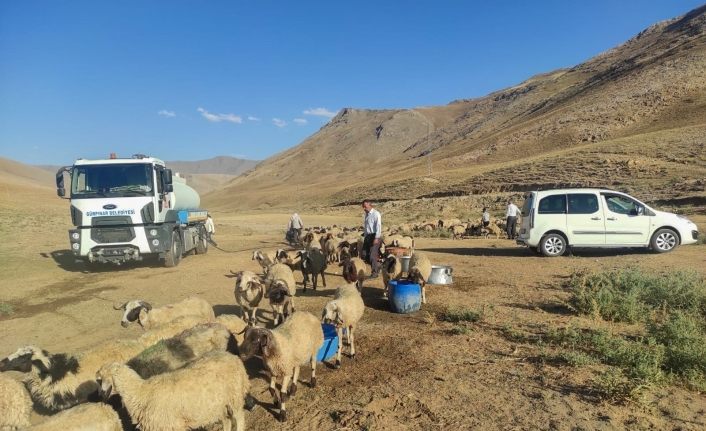 Gürpınar Belediyesi yaylaya tankerle su getirdi