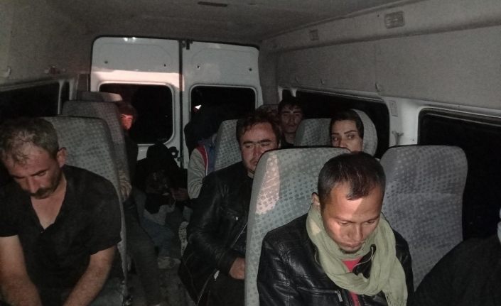 Kaçak mülteci taşıyan kamyonet devrildi: 2 yaralı
