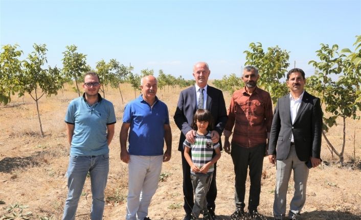 Tuşba Belediyesi’nin öncülük ettiği ‘Model ceviz-badem’ bahçelerinde ürün alınmaya başlandı