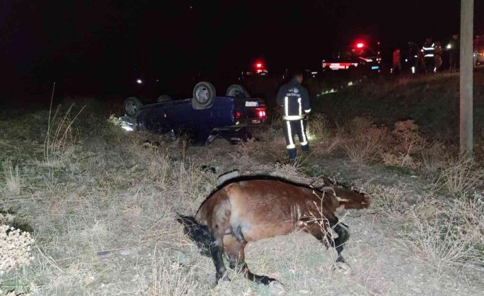 Başıboş ata çarpan otomobil takla attı: 1 ölü, 6 yaralı