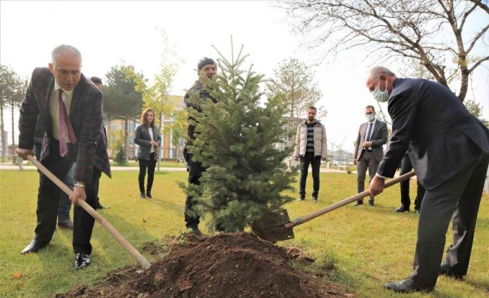Tuşba Belediyesi’nden Milli Ağaçlandırma Günü etkinliği