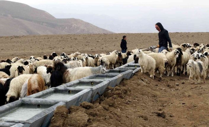 Van Büyükşehir Belediyesinden Başkaleli çiftçilere can suyu