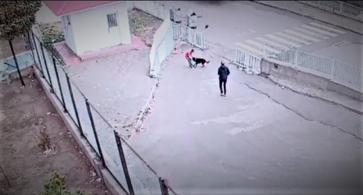 Van’da köpeğin saldırısına uğrayan çocuğu okul güvenliği kurtardı