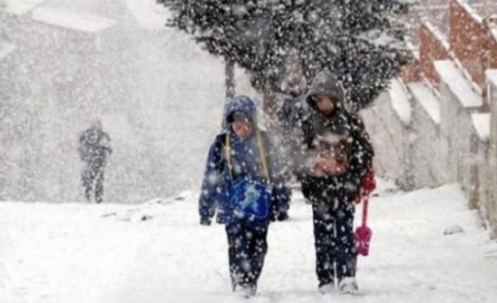 Özalp ve Saray'da okullara kar tatili