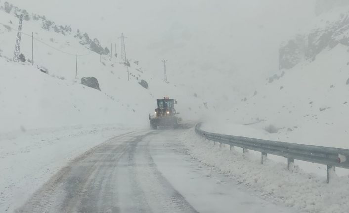 Van’da Bahçesaray yolundaki üç ayrı noktaya çığ düştü