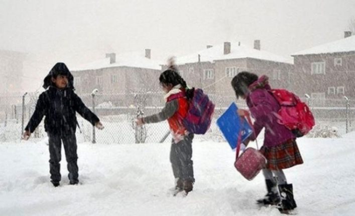 Van’da okullar tatil edildi