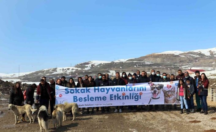 Van’da sokak hayvanları için besleme etkinliği