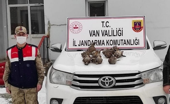 Yasadışı avlanan şahıs jandarmaya takıldı