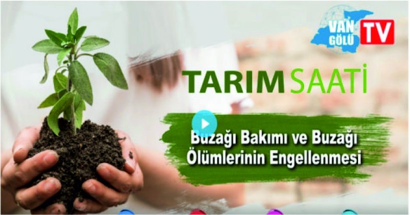 Tarım Saati 19.Bölüm: Van’da buzağı bakımı ve ölümlerinin engellenmesi