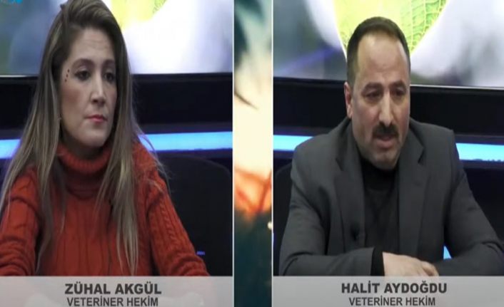 Tarım Saati 21. Bölüm: Van’da kuzu beslenmesi, bakımı ve kuzu ölümlerinin engellenmesi