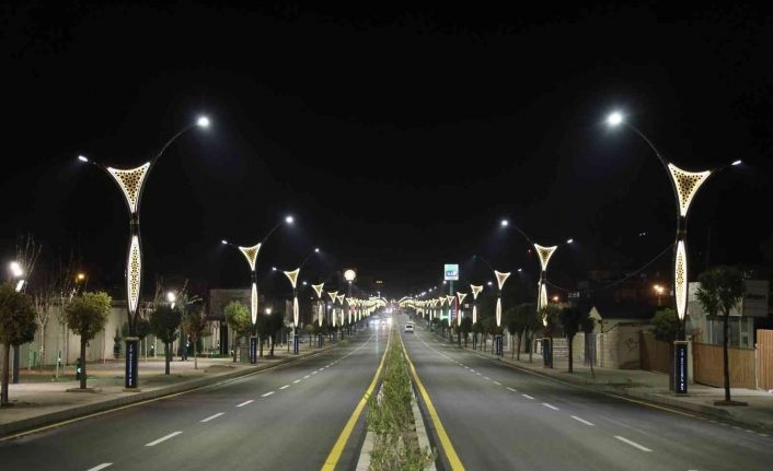 Van Büyükşehir Belediyesi çevre farkındalığı için ışıklarını kapatacak