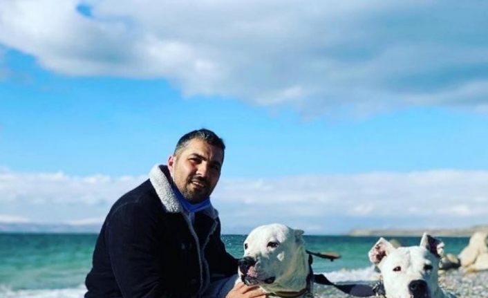 Van’da spor salonu bahçesinden çalınan Dogo Argentino ırkı iki köpek saatler sonra ölü bulundu