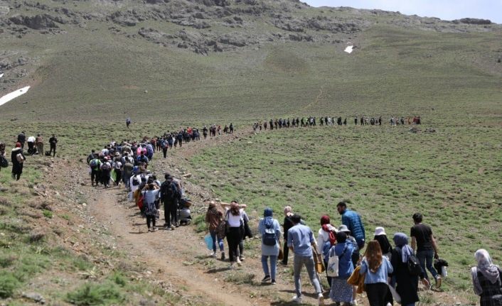 Doğaseverler 3 bin metrede halay çekip karda kaydı