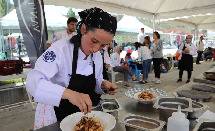 Van Gastronomi Festivali sona erdi