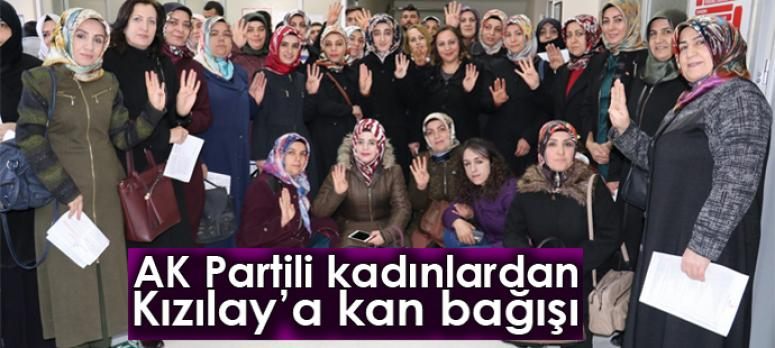 AK Partili kadınlardan Kızılay