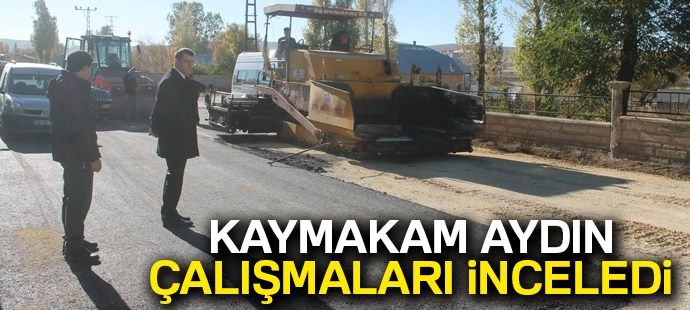 Kaymakam Aydın çalışmaları inceledi