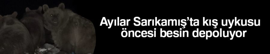 Ayılar Sarıkamış