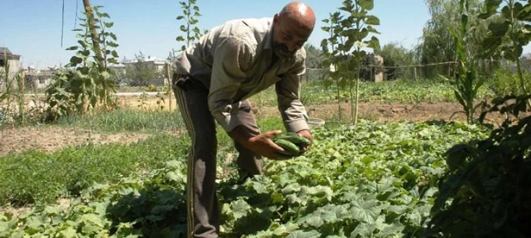 İhbar ettiği uyuşturucu bağımlısı oğluna verilen cezayla şok oldu 